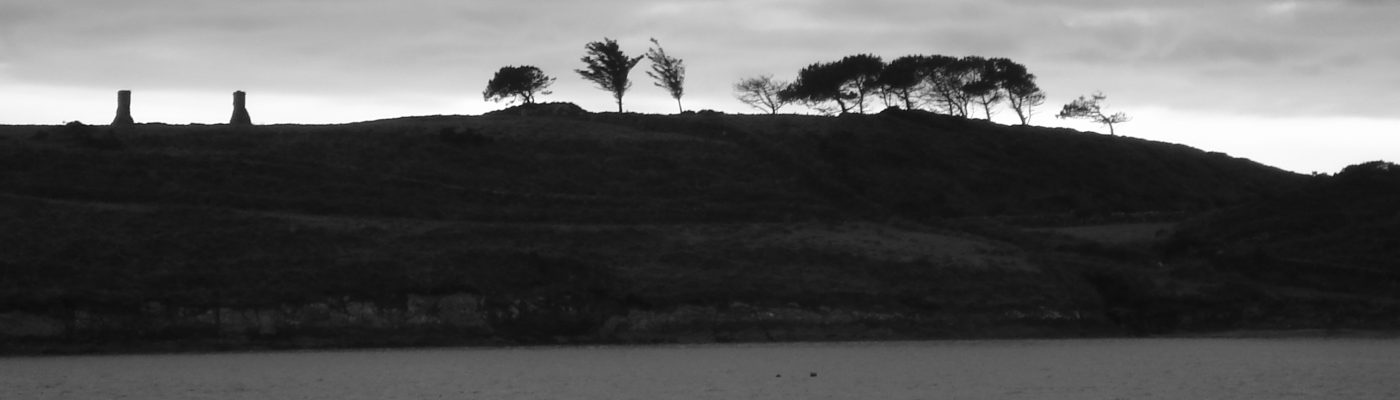 PizzHeiria Heir Island West Cork